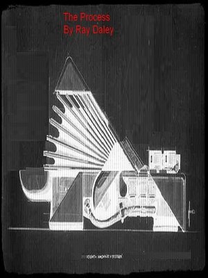 cover image of The Process